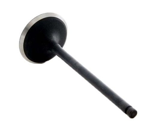 1999-2003 Lexus 3.0L 2995ci DOHC V6 24V 1MZFE 87.50mm Bore Intake Valve IM2738 -EP5
