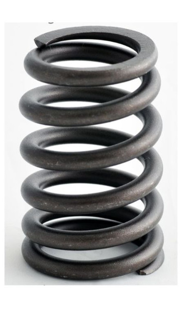 1999 Dodge Ram 2500 Van 5.9L Engine Valve Spring ERV1378 -258