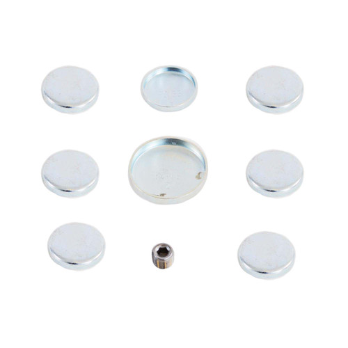Expansion Plug Kit - 1987 Ford Ranger 2.9L (PNPK250.A4)