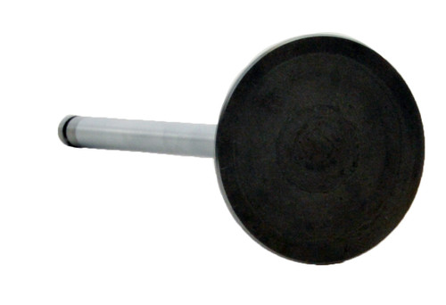Intake Valve - 2000 Isuzu Hombre 2.2L (PNV3456.B18)