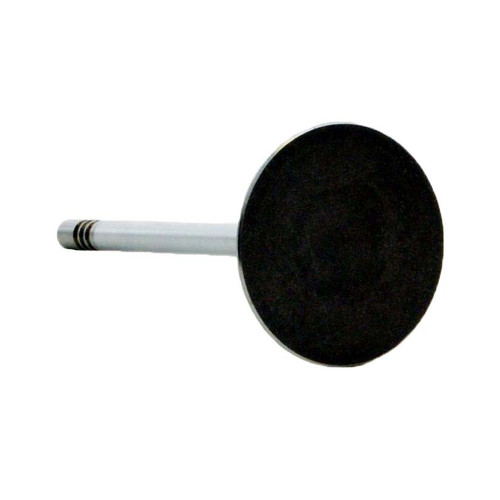 Intake Valve - 2005 Dodge Dakota 4.7L (PNV3704B.D34)