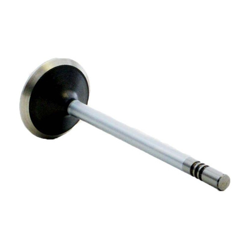 Exhaust Valve - 2003 Dodge Dakota 4.7L (PNV3705B.B13)