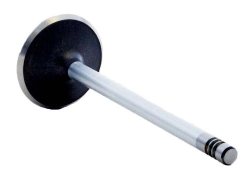 Intake Valve - 2000 Ford Escort 2.0L (PNV4358.A6)
