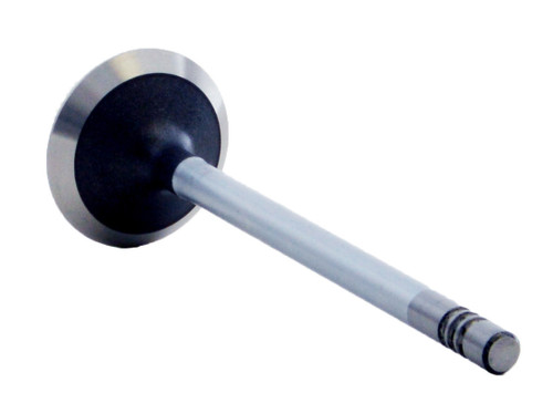 Exhaust Valve - 2005 Mazda B3000 3.0L (PNV4359.D35)