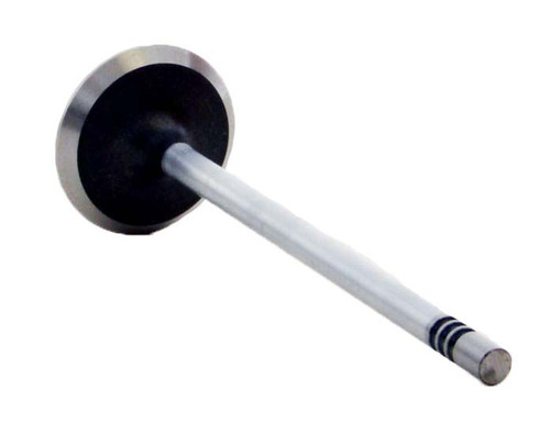 Intake Valve - 2011 Ford Expedition 5.4L (PNV4376.H77)