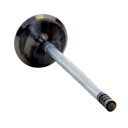 Intake Valve - 2001 Dodge Neon 2.0L (PNV4378B.A2)