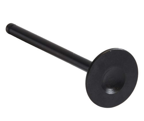 Intake Valve - 2007 Chevrolet Aveo5 1.6L (PNV4394.A5)