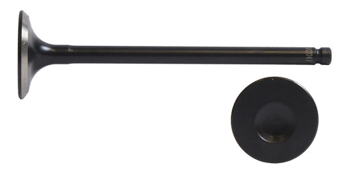 Intake Valve - 2004 Chevrolet Aveo 1.6L (PNV4394.A1)