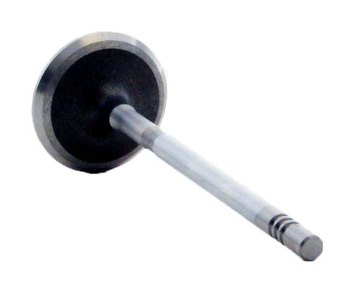 Intake Valve - 2007 Chrysler PT Cruiser 2.4L (PNV4402.B18)