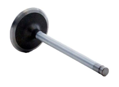 Intake Valve - 2006 Buick Rendezvous 3.5L (PNV4414.A7)