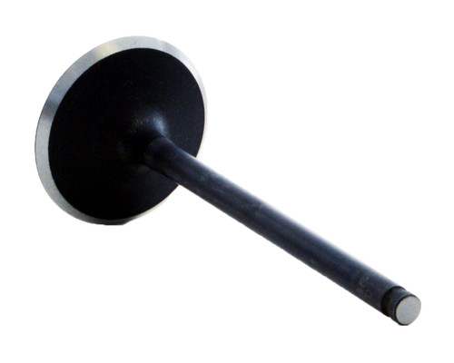 Intake Valve - 2005 Lincoln LS 3.0L (PNV4446.B16)