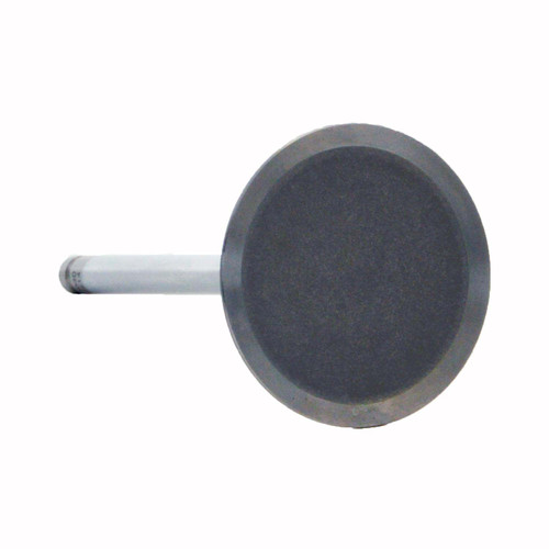 Intake Valve - 2014 Chevrolet Caprice 6.0L (PNV4450.K104)