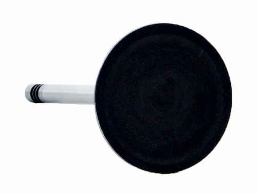 Intake Valve - 2008 Dodge Ram 1500 4.7L (PNV4452.A5)