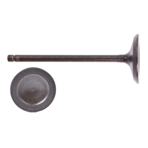 Intake Valve - 2008 Lincoln MKX 3.5L (PNV4500.A8)