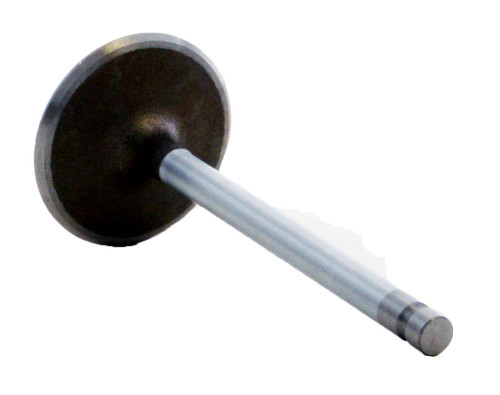 Intake Valve - 2002 Chevrolet Silverado 2500 HD 8.1L (PNV8100.B14)