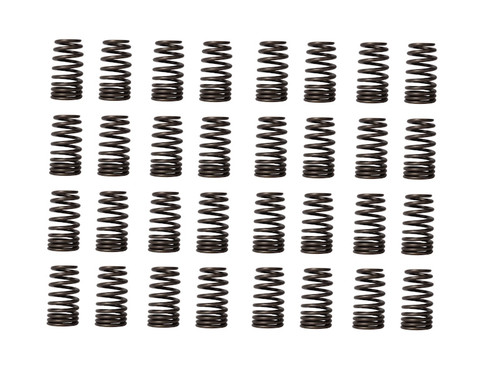 2018 Ford F-150 5.0L Engine Valve Spring (Qty. 32) PN-ERV1717-32-1