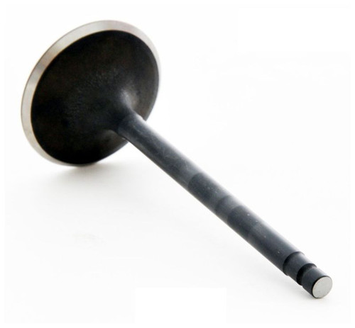 2004 Nissan Titan 5.6L Engine Intake Valve IM1012 -27