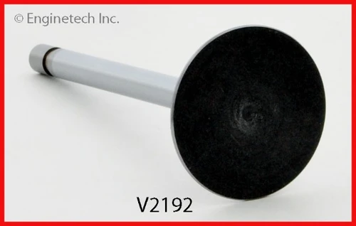 1987 Ford Mustang 5.0L Engine Intake Valve V2192 -14