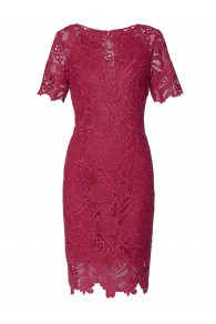 Gina Bacconi Dahlia lace dress (SQQ9033)