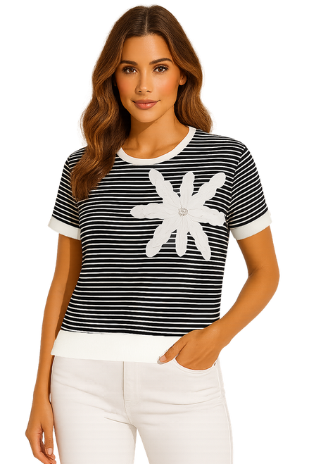 Orly short sleeves striped top (261320)