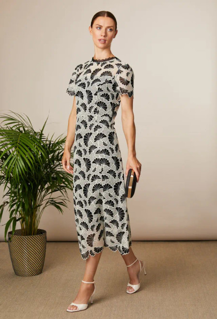 fee G Black & Cream Aline Lace Dress (834G/141)