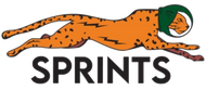 SPRINTS