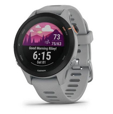 Garmin Forerunner 255 Slate Grey