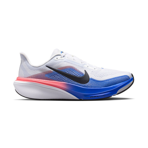 MEN'S PEGASUS 42
