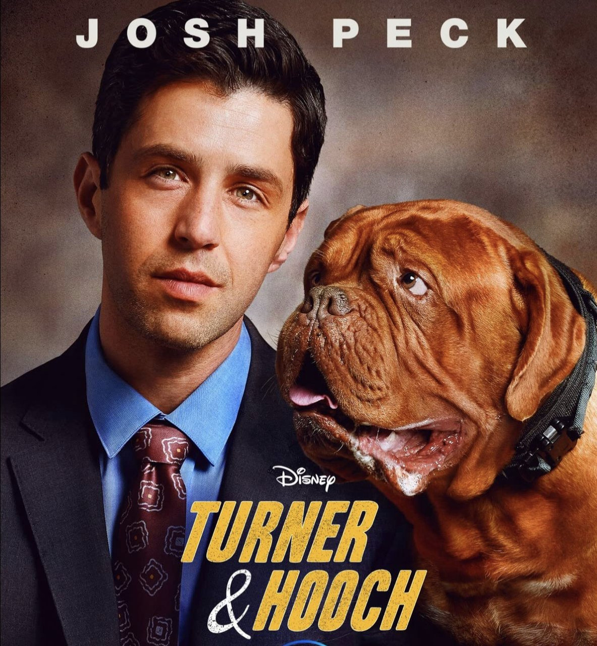 Tv Series What Kind Of Dog Is Hooch In Turner Hooch Type Of Dog In