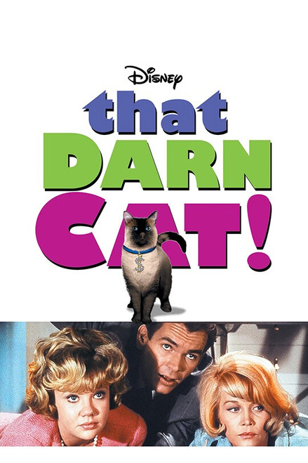 That Darn Cat - 1965 - Blu Ray