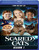 Scaredy Cats - Season 1 - Blu Ray