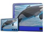  /></span></td> <td> <p><span style=