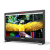 Q24 23.6 inch 12G-SDI professional broadcast production studio monitor