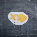 Corgi Pop up Sponge