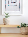 Agora White Bin Set Agora White Bin Set
