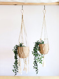 Agora White Bin Set Agora White Bin Set