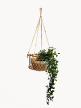 Jhuri Single Hanging Basket Jhuri Single Hanging Basket