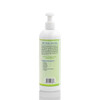 EC3 Head-to-Toe Cleanser Citrus Spearmint / 12-Unit Case