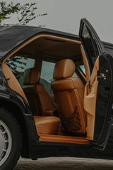 Car Mold? Use a Home Mold Test Kit for Your Vehicle