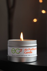 Removing the Musty Odors in Your Home