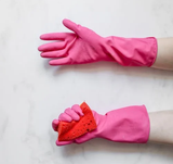 Why Cleaning Isn’t Enough to Get Rid of Mold  Why Cleaning Isn’t Enough to Get Rid of Mold