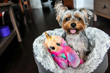 Keeping Your Home Clean When You Have Pets