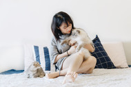 Create a Pet-Friendly Home with Safe Cleaning Habits and the Right Pet Stain Remover