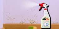Say Goodbye to Mold with the Ultimate Mold Sprayer