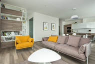 Removing Mold from Leather and Fabrics: Why a Spray Cleaner Works Best