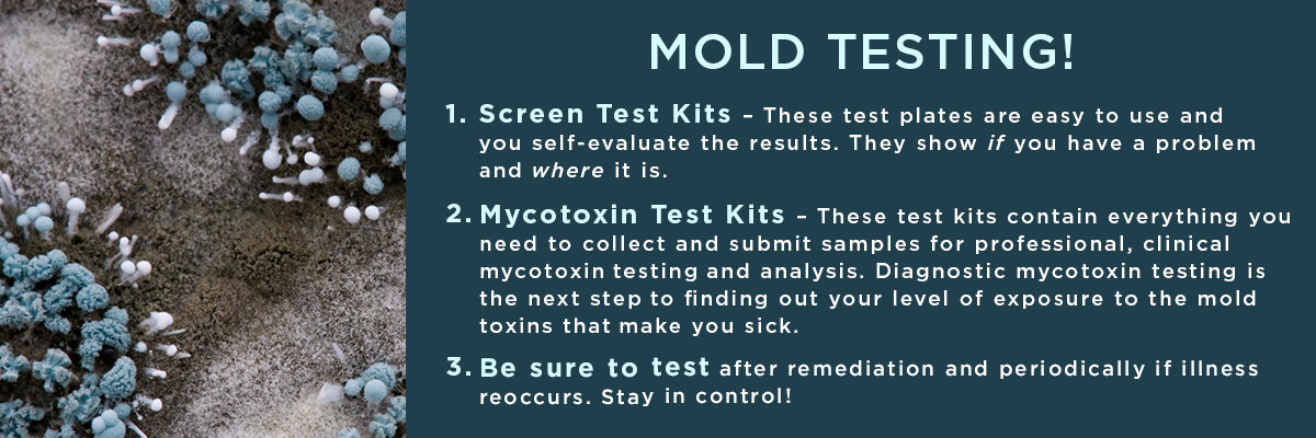 Finding the source of the mold is critical to eradication