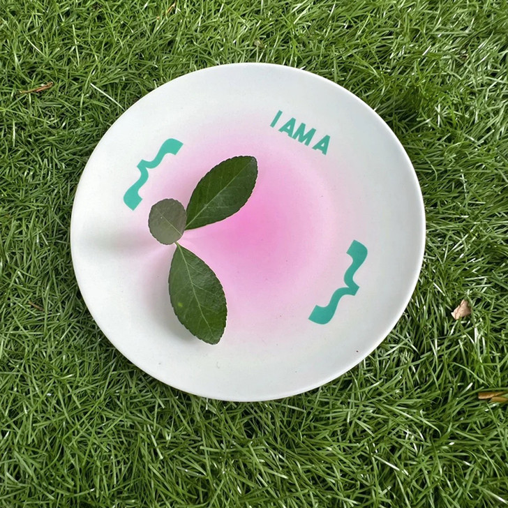 "I Am A?" Pink Gradient Funky Pop Art Bamboo Plate