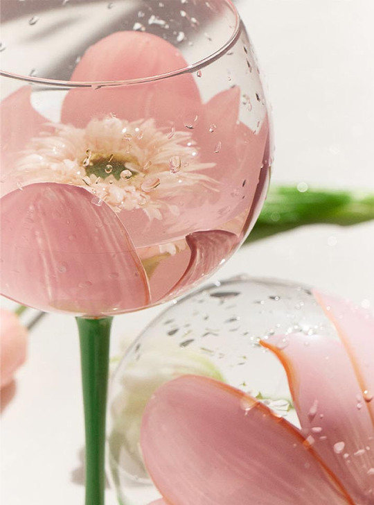 pink tulip flower on glass