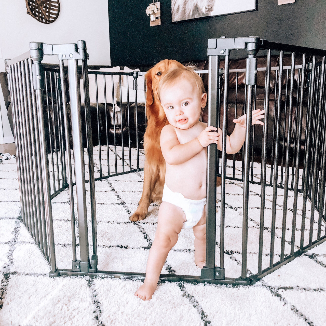 Toddleroo by North States 3-In-1 Arched Décor Metal