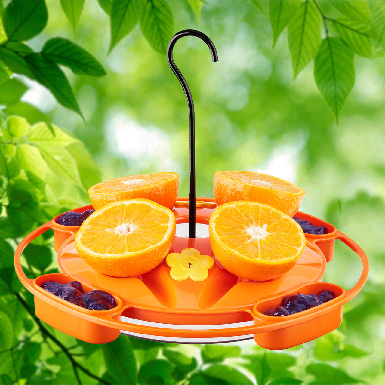 Green Solutions Oriole Vogelfutterstation – Mit Jelly- & Nektarbecher, Orange, Wetterfest
